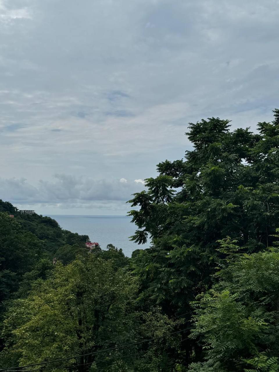 Royal House Villa Kvariati Dış mekan fotoğraf