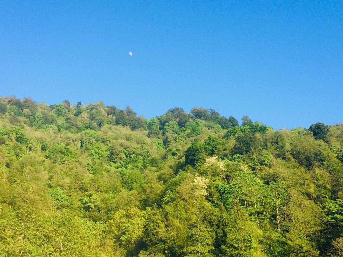 Royal House Villa Kvariati Dış mekan fotoğraf
